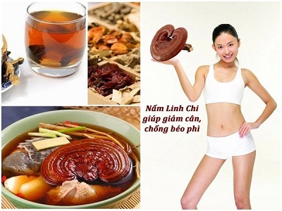 Xóa tan nỗi lo béo phì, chỉ số BMI cao ngất ngưỡng nhờ thần dược Nấm Linh Chi Hàn Quốc